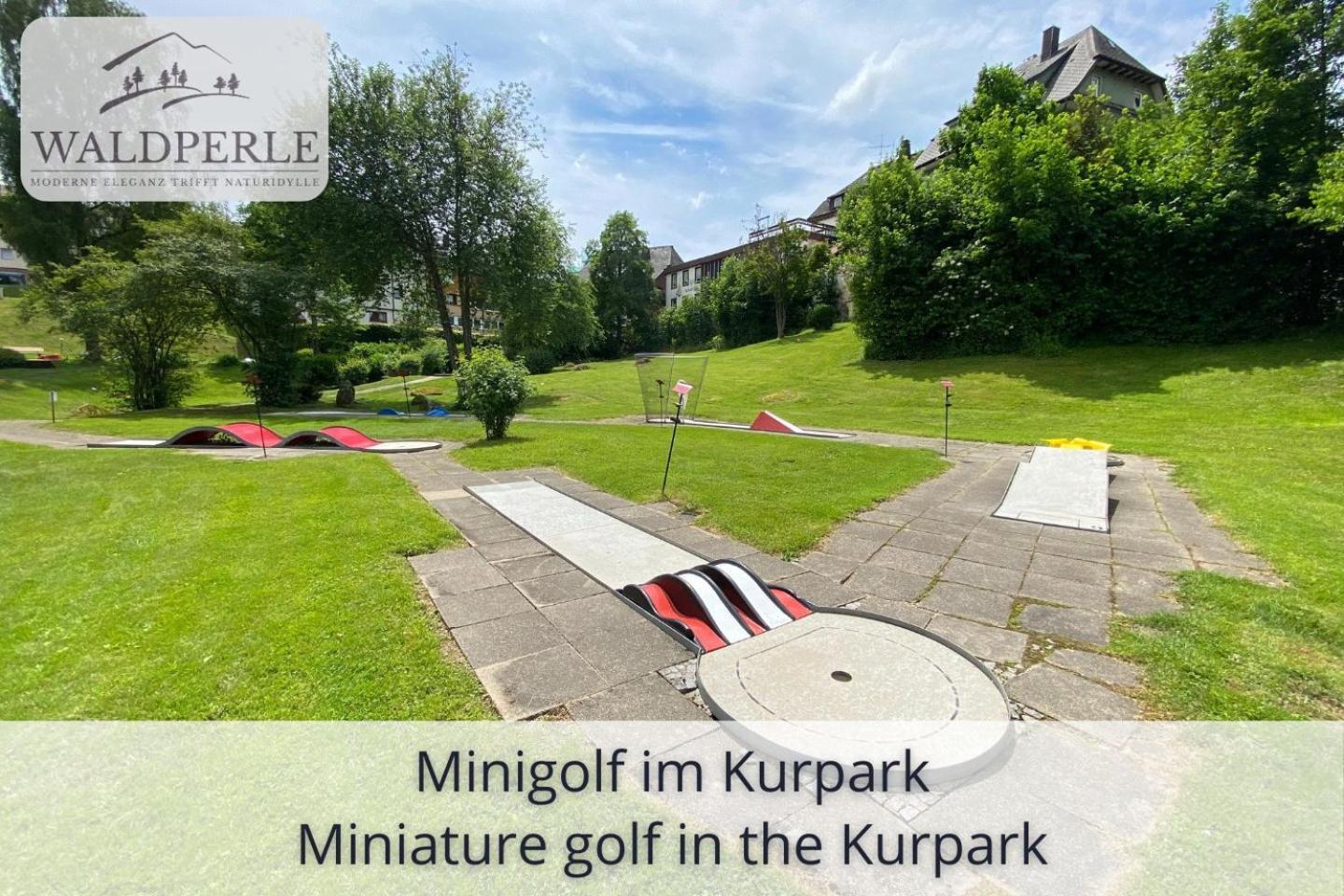 Apartment Bellevue mit Indoor-Pool, Sauna und Tennisplatz Schonach im Schwarzwald Buitenkant foto