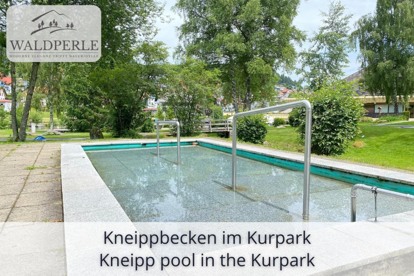 Apartment Bellevue mit Indoor-Pool, Sauna und Tennisplatz Schonach im Schwarzwald Buitenkant foto