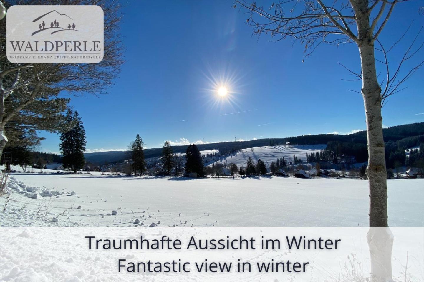 Apartment Bellevue mit Indoor-Pool, Sauna und Tennisplatz Schonach im Schwarzwald Buitenkant foto