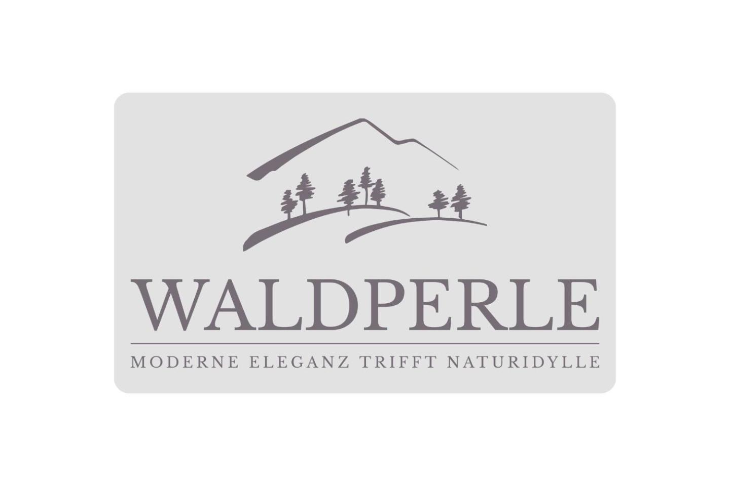 Apartment Bellevue mit Indoor-Pool, Sauna und Tennisplatz Schonach im Schwarzwald Buitenkant foto
