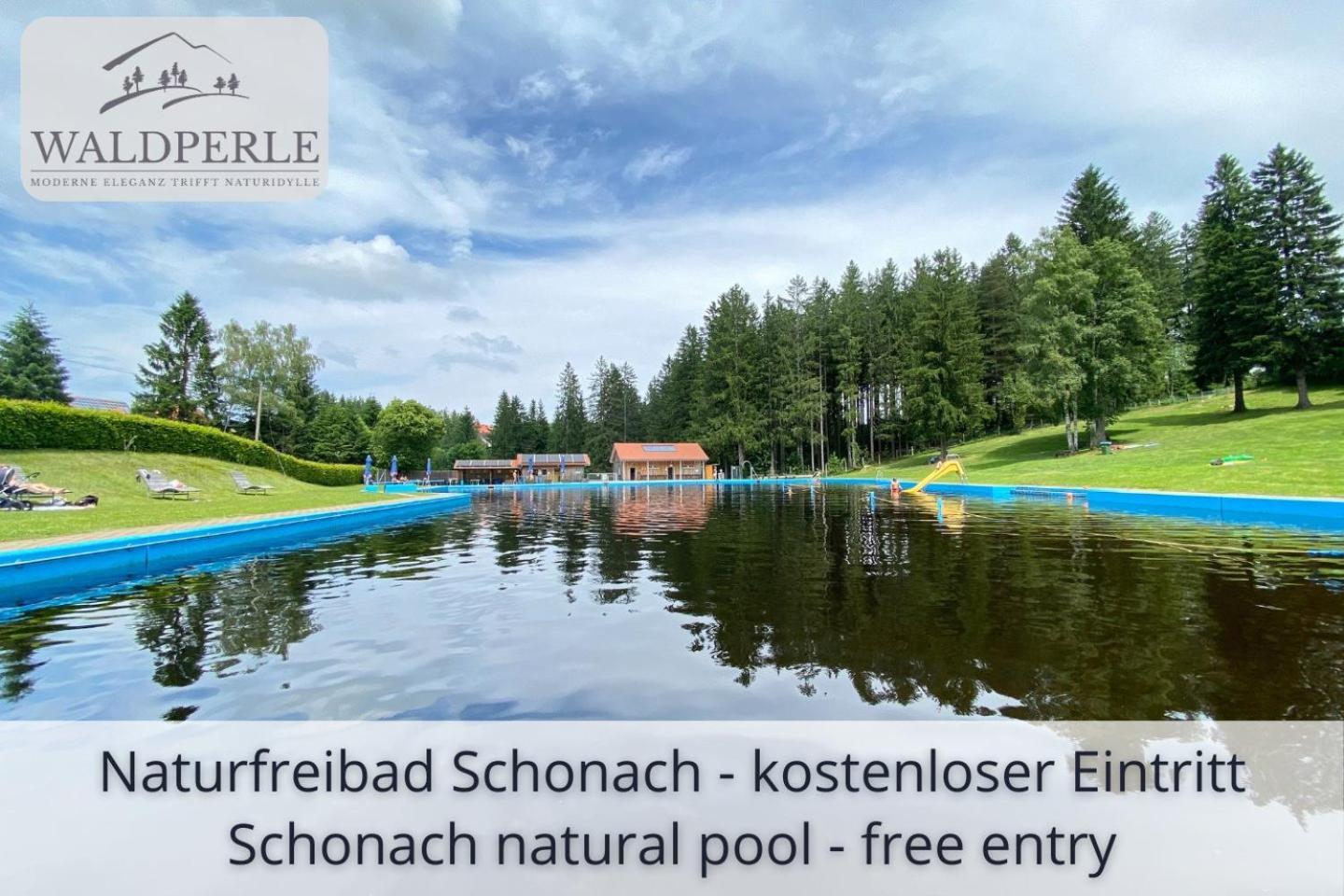 Apartment Bellevue mit Indoor-Pool, Sauna und Tennisplatz Schonach im Schwarzwald Buitenkant foto