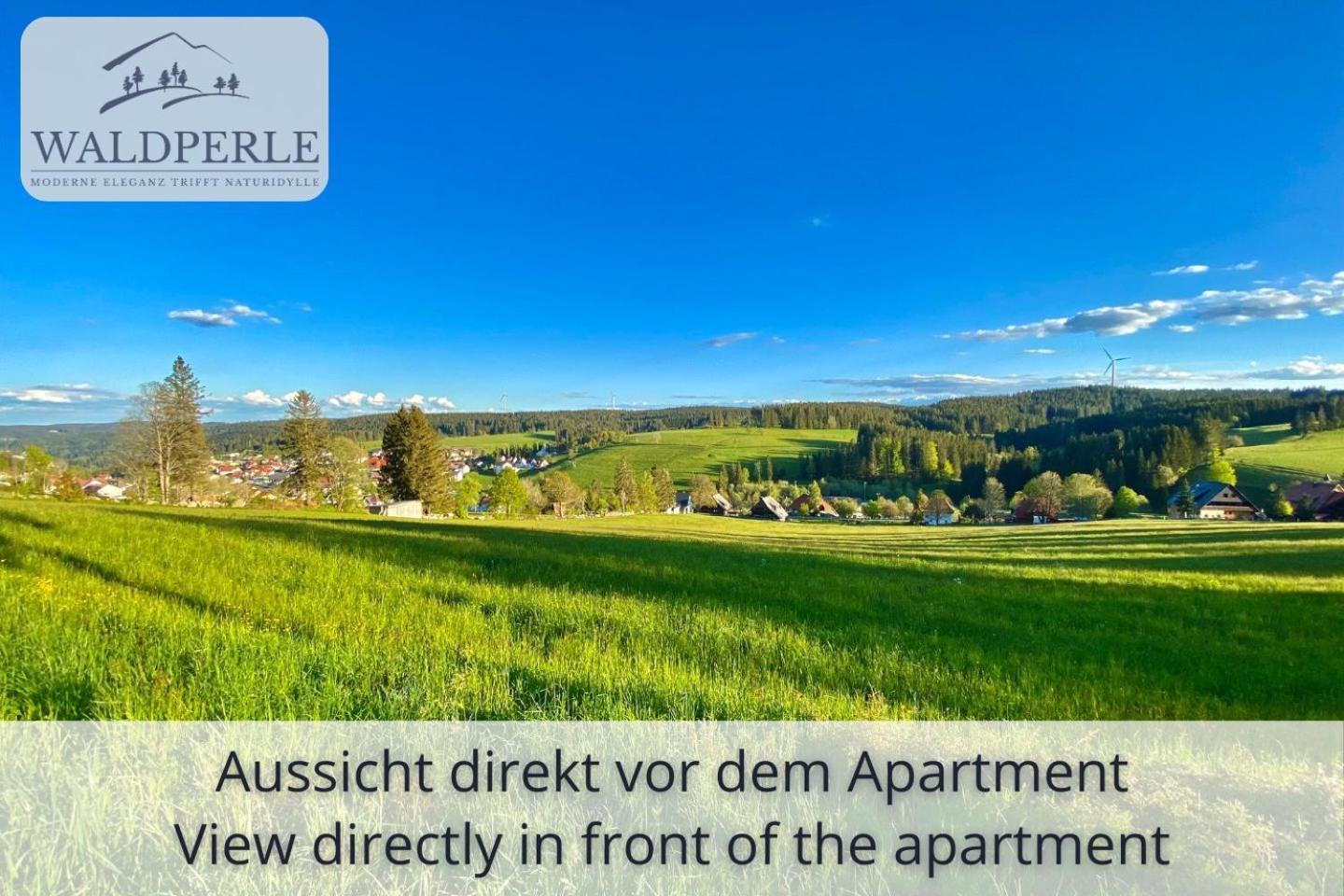 Apartment Bellevue mit Indoor-Pool, Sauna und Tennisplatz Schonach im Schwarzwald Buitenkant foto