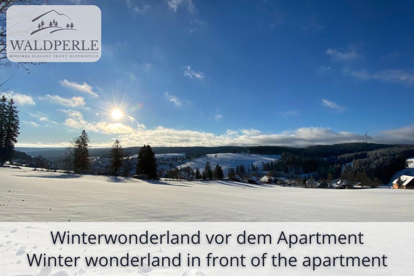 Apartment Bellevue mit Indoor-Pool, Sauna und Tennisplatz Schonach im Schwarzwald Buitenkant foto