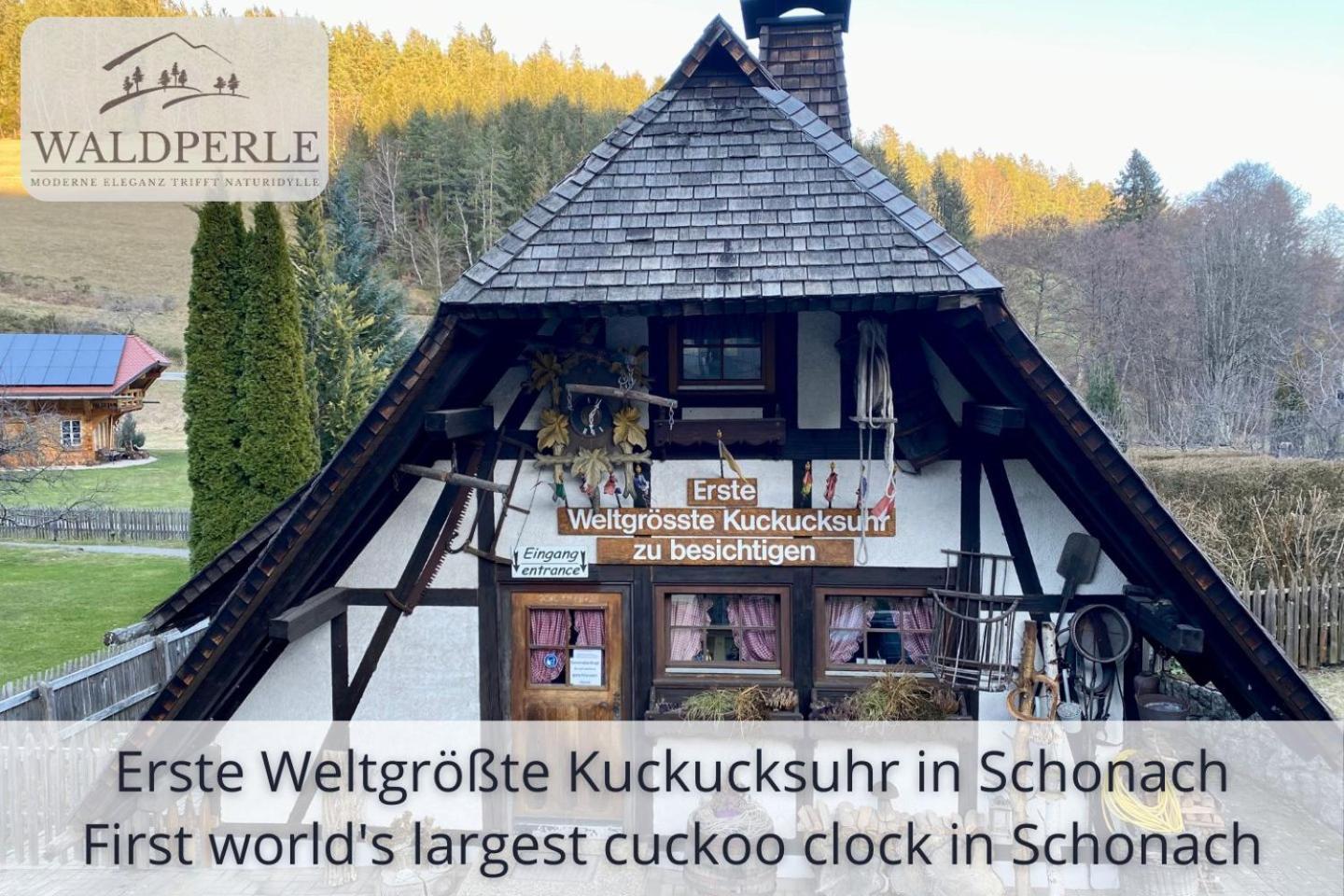Apartment Bellevue mit Indoor-Pool, Sauna und Tennisplatz Schonach im Schwarzwald Buitenkant foto