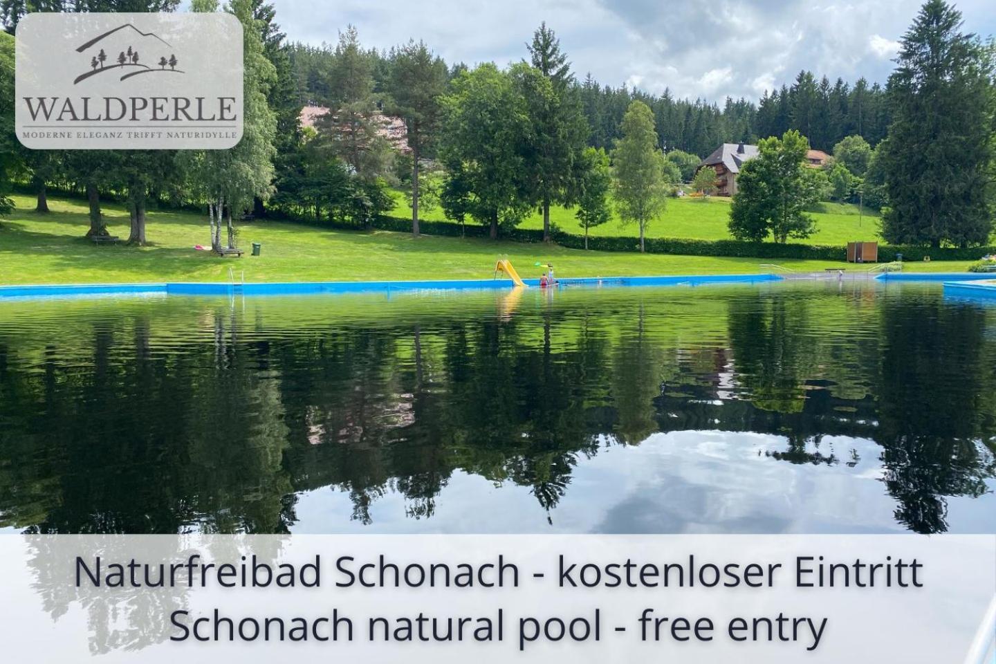 Apartment Bellevue mit Indoor-Pool, Sauna und Tennisplatz Schonach im Schwarzwald Buitenkant foto