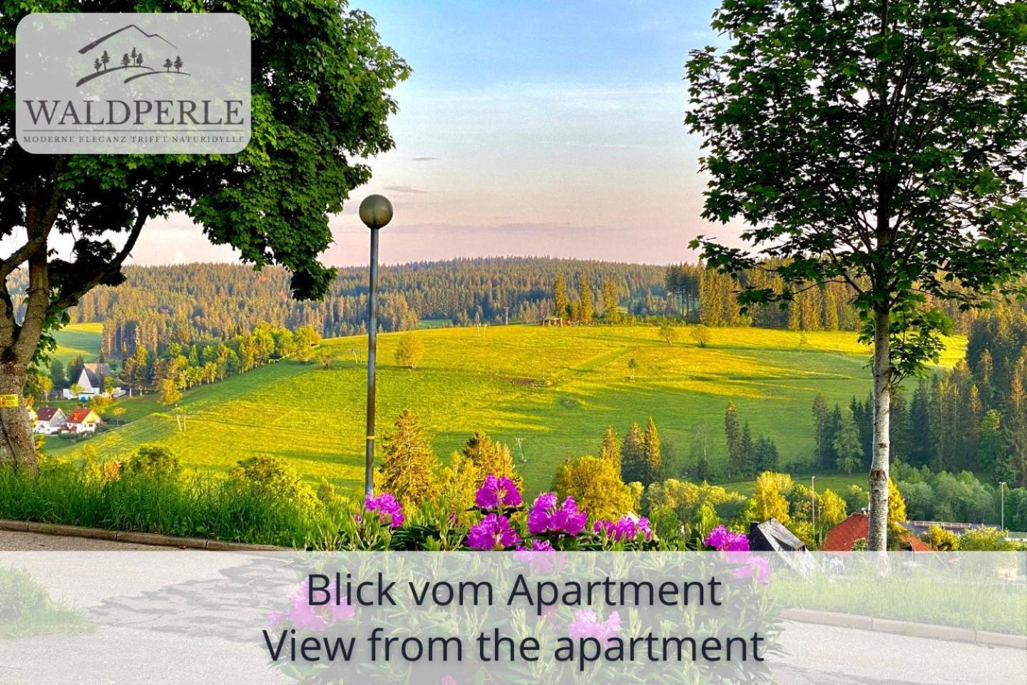 Apartment Bellevue mit Indoor-Pool, Sauna und Tennisplatz Schonach im Schwarzwald Buitenkant foto