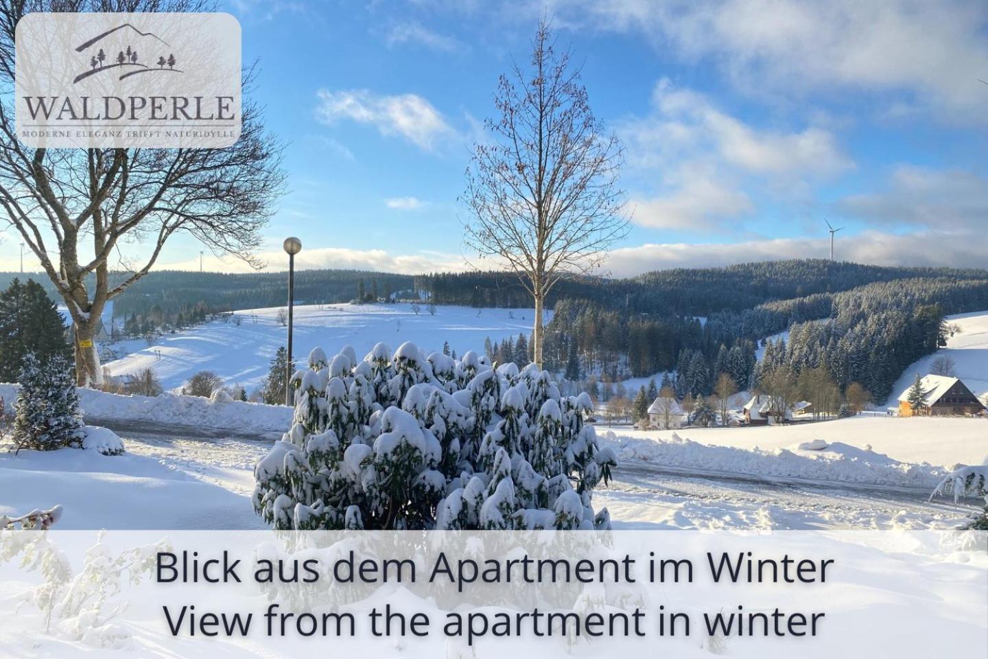 Apartment Bellevue mit Indoor-Pool, Sauna und Tennisplatz Schonach im Schwarzwald Buitenkant foto