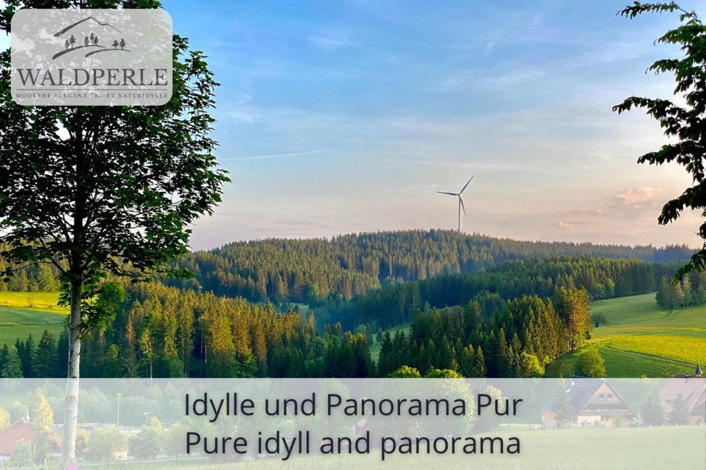 Apartment Bellevue mit Indoor-Pool, Sauna und Tennisplatz Schonach im Schwarzwald Buitenkant foto