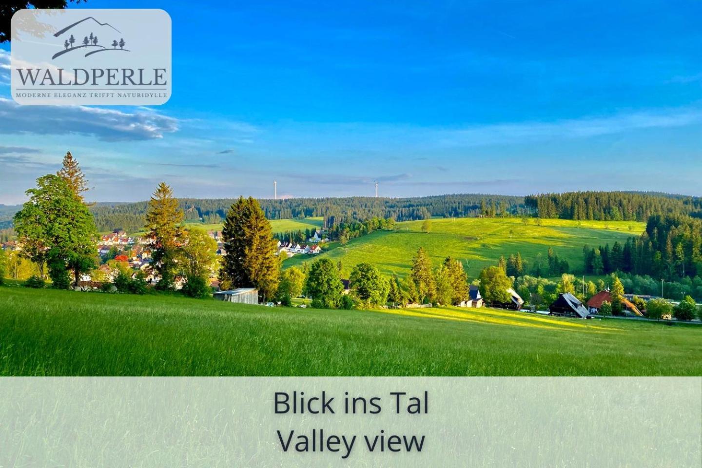 Apartment Bellevue mit Indoor-Pool, Sauna und Tennisplatz Schonach im Schwarzwald Buitenkant foto