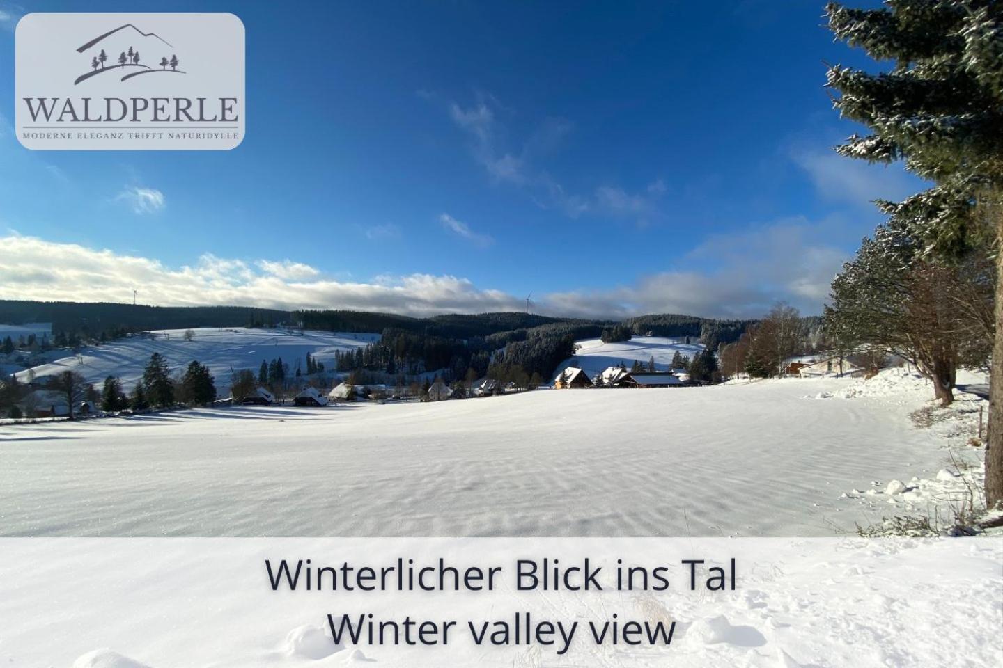 Apartment Bellevue mit Indoor-Pool, Sauna und Tennisplatz Schonach im Schwarzwald Buitenkant foto