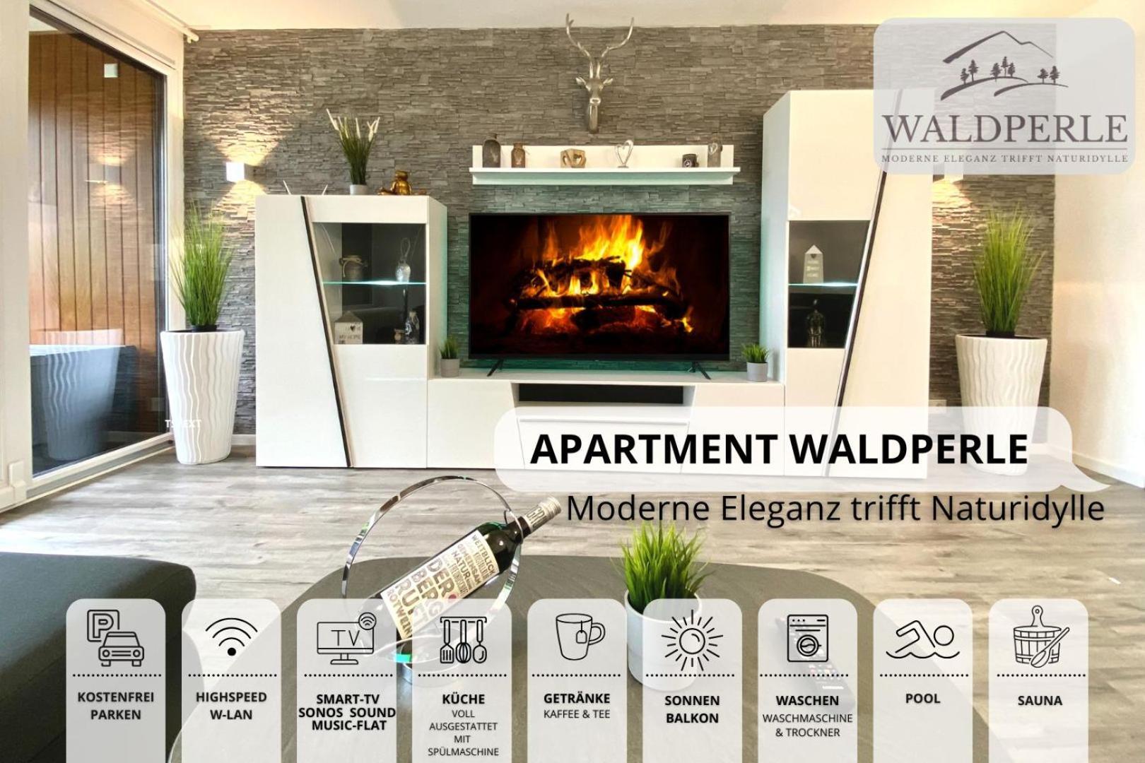 Apartment Bellevue mit Indoor-Pool, Sauna und Tennisplatz Schonach im Schwarzwald Buitenkant foto